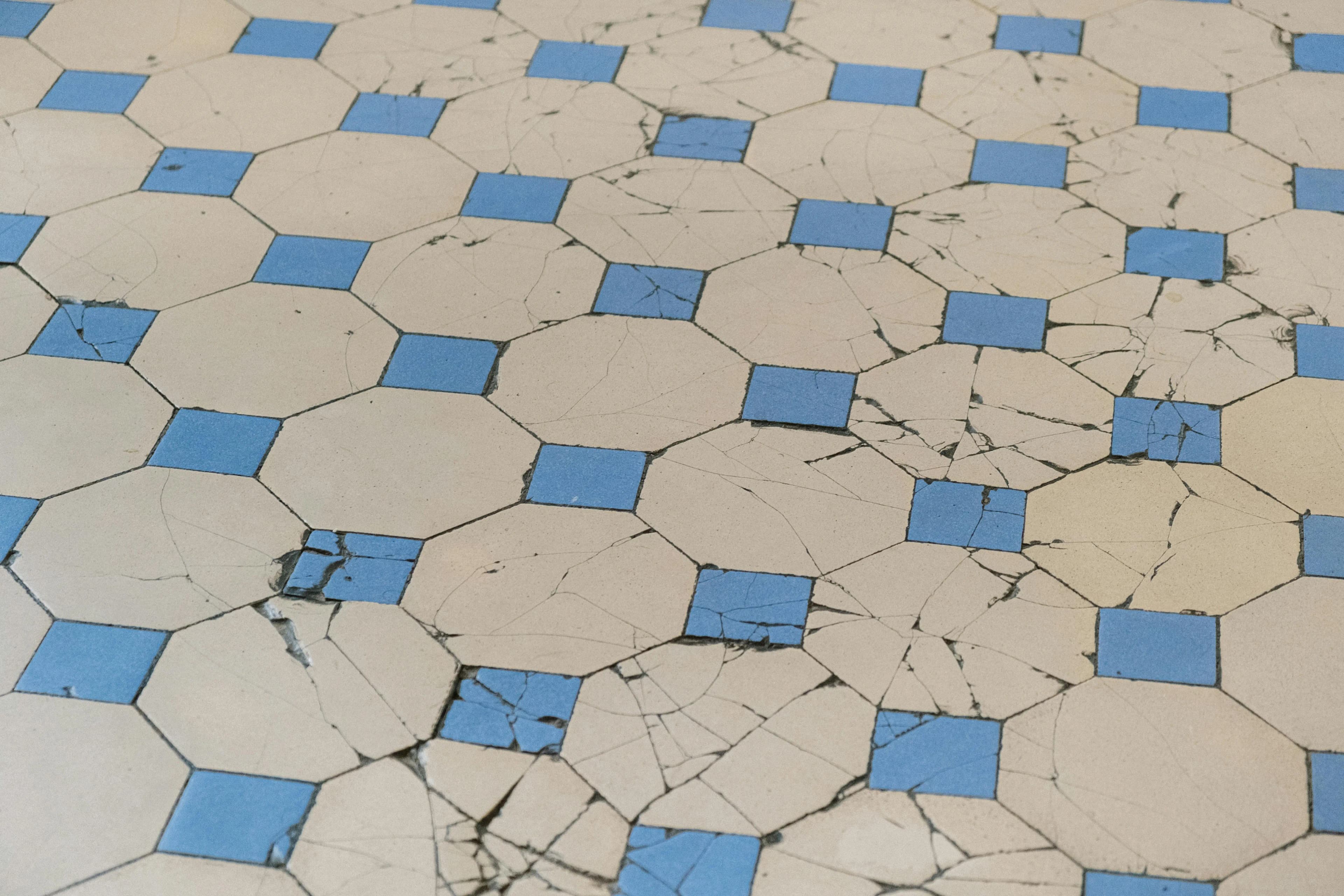 Pro Budget Handyman flooring repair